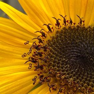 Meet your Posher, Alejandro